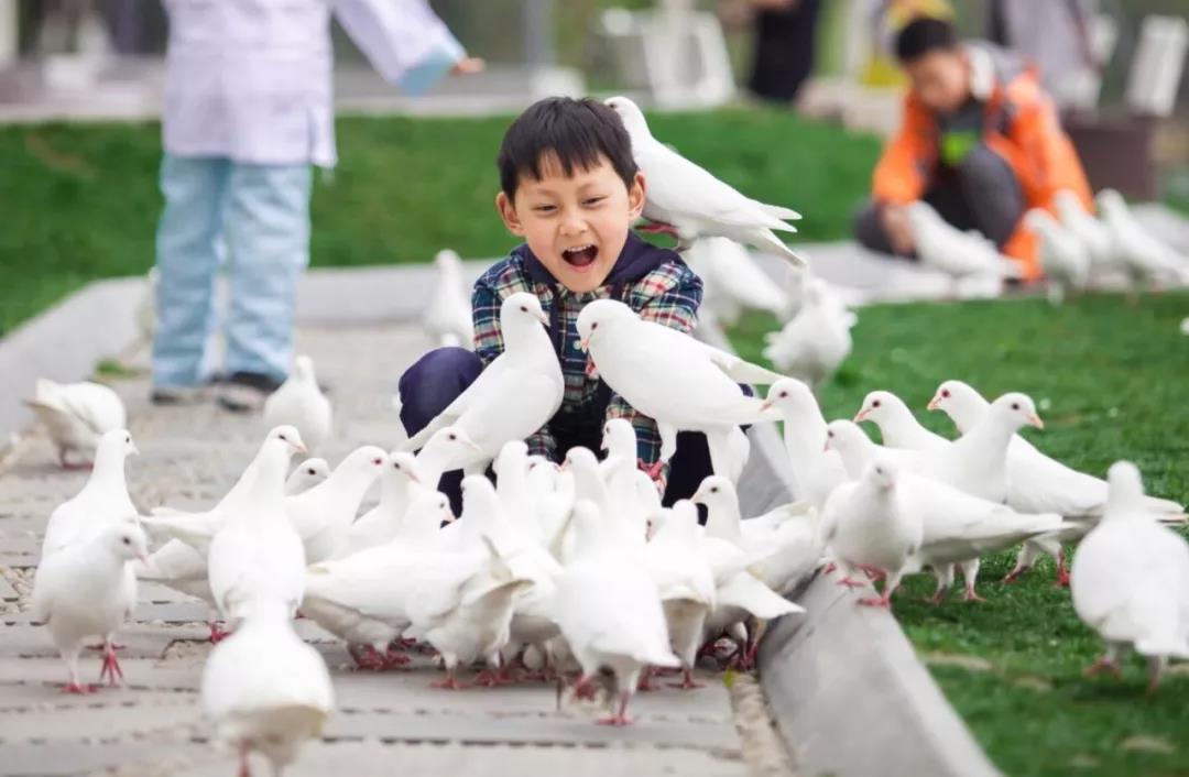 1579052431100965.jpg 微信图片_20200115093023.jpg